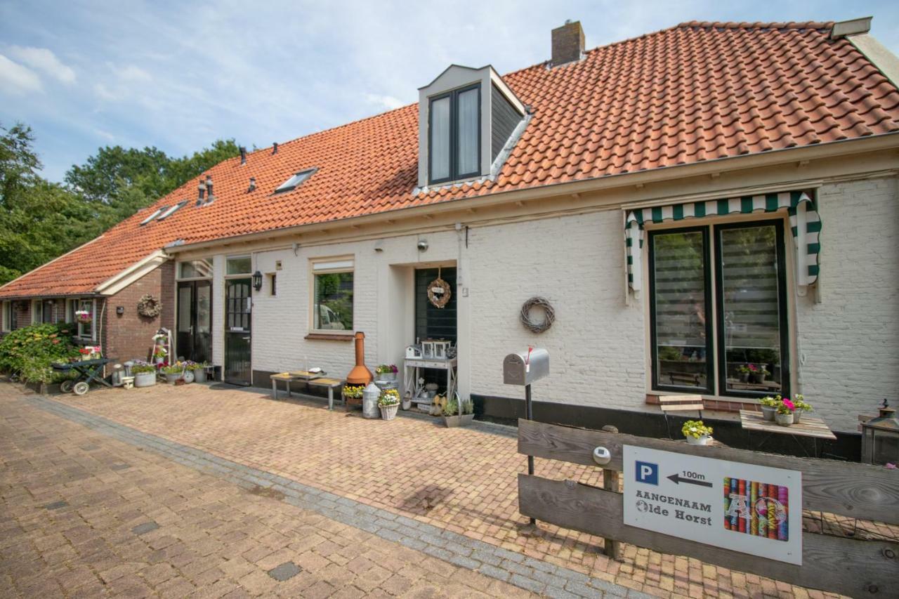 B&B Aangenaam - Olde Horst Diever Exteriér fotografie